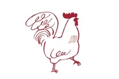 雞肉